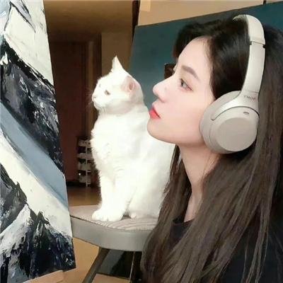 谎言风暴