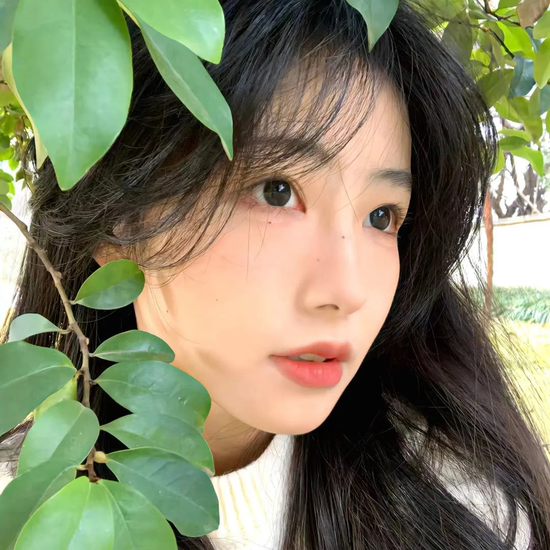 异形速递